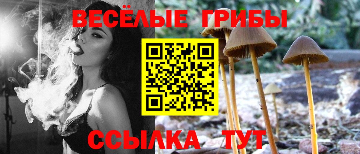 Стрежевой  Галлюциногенные грибы GOLDEN TEACHER  Вход с VPN  Галлюциногенные грибы Psilocybine cubensis 